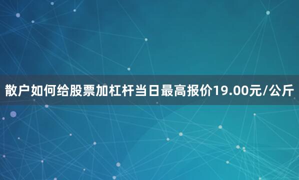 散户如何给股票加杠杆当日最高报价19.00元/公斤