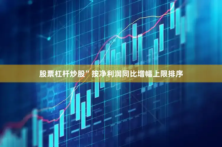 股票杠杆炒股”　　按净利润同比增幅上限排序